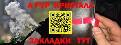 шишки Нальчик