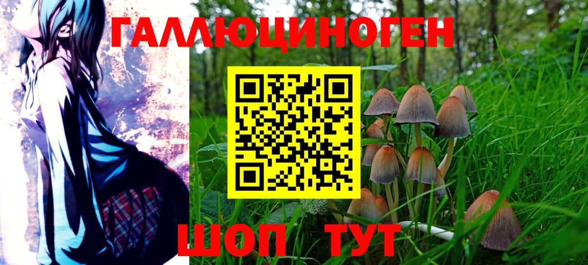 Псилоцибиновые грибы Psilocybe Верхний Уфалей
